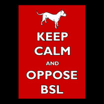 Behalten Sie ruhig und setzen Sie BSL entgegen poster