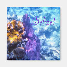 Belize! Lila Seefan Magnete