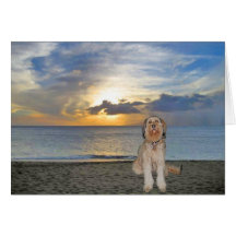 Bella, das einen hawaiischen Sonnenuntergang genie Karte
