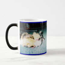 bellanew1 tee tasse