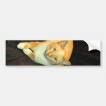 Bequeme Miezekatze Auto Aufkleber
