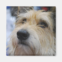 Berger Picard Magnet Magnete