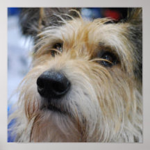 Berger Picard Plakat