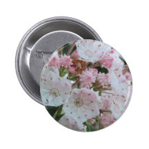 Berglorbeer-Produkte Button