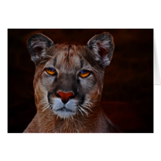 Berglöwe-Puma Karte