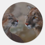 Berglöwe-Verehrung Runder Sticker