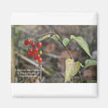 Berries_release Zubehör Kühlschrankmagnet