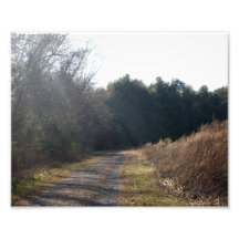 Beruhigender photographischer Druck Path10x8