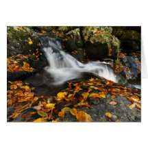Beruhigendes Wasser Karten