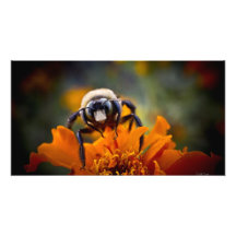 Beschäftigte Bienen-Druck-Geschenk Photodruck