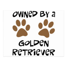 Besessen durch ein golden retriever postkarten