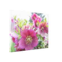 Beständige Pflanzen - lila Hellebore Leinwanddruck