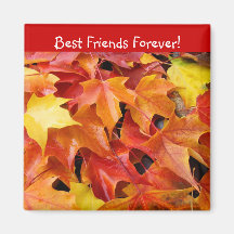 Beste Freunde für immer! Magnet bunter Herbstlaub Magnete
