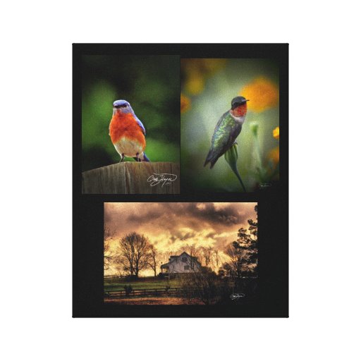 Bestes von Engel 2011 Wings Kunst-Reihe eingewicke Gespannter Galeriedruck