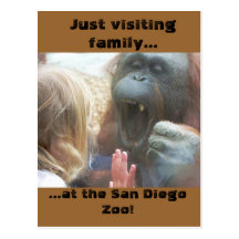 Besuchsfamilie an der San Diego Zoo-Postkarte