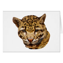 Bewölkter Leopard Karte