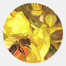 Bienchen u. Bluemchen Sticker