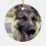Bild der Schäferhund-Verzierung Weihnachtsbaum Ornament