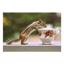 Bild von Chipmunk mit ChinaTeacup Foto