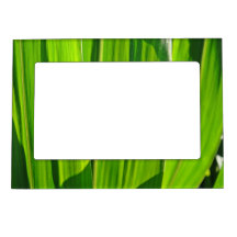 Bilderrahmen Maisblätter Magnet-Bilderrahmen