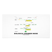 Biologischer Ingenieur nach innen Photokarten