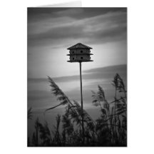 Birdhouse-Anmerkungs-Karte