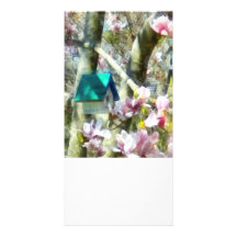 Birdhouse in Magnolia Photo Greeting Card