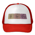 Birds-B-Ir-Ds-Boron-Iridium-Darmstadtium.png Kultkappe
