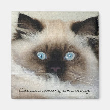 Birman - Ragdoll Katzen-Liebhaber-Magnet