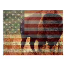 Bison-Flagge Postkarten