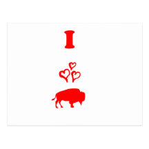 Bison Postkarte