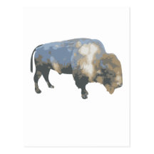 Bison Postkarten