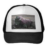 Bison Truckerkappe