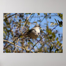 Bissen Plakatdruck