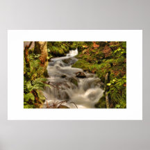 Black Forest-Water Posterdrucke