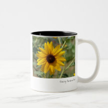 blackeyed_susan, blackeyed_susan, Foto durch Barb… Haferl