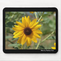 blackeyed_susan, Foto durch Barbara-Grafen Mauspad