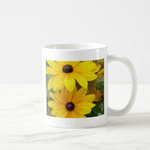 Blackeyed SusanRudbeckia hirta F. homochroma Teetasse