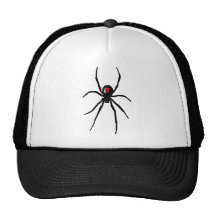 blackwidow Spinnenhut Retrokappe