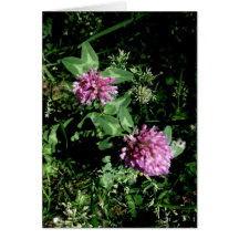 Blank_Clover Karte