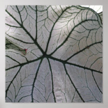Blatt-Plakat