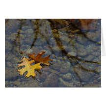 Blatt verlässt Strom-Wasser-Reflexionen Karte