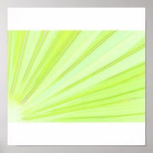 Blatt von sah Palmetto-Pflanze Poster
