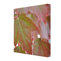 Blätter im Herbst-Leinwand-Druck Gespannte Galerie Drucke