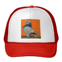 Blaue Blondinette Taube Baseballcap