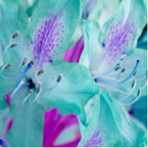 Blaue Blumenfoto-Skulptur Photofigur