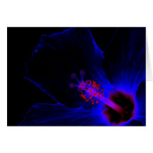 BLAUE HIBISKUS-Karte