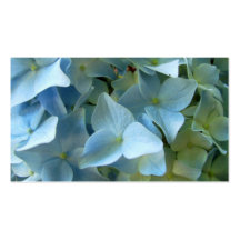 Blaue Hydrangea-Blumen-Geschäfts-Visitenkarten