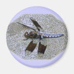 Blaue Libelle Kühlschrankmagnete