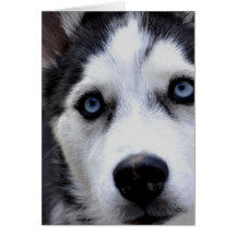 Blaue mit Augen heisere Gruß-Karten